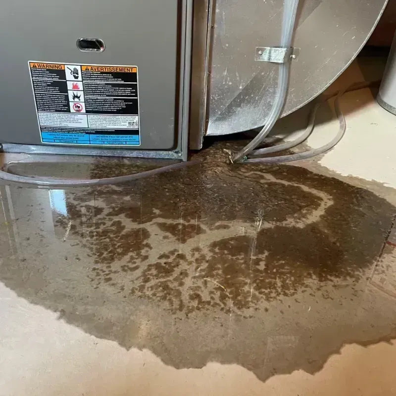 Appliance Leak Cleanup in Sunnyside-Tahoe City, CA